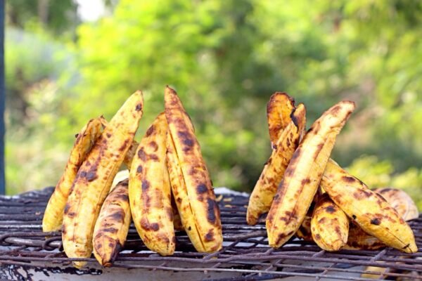Starch Plantain
